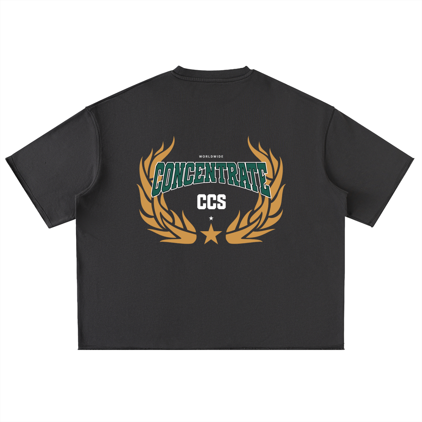 Concentrate Streetwear - Drop Out - 320gsm Oversized T-Shirt