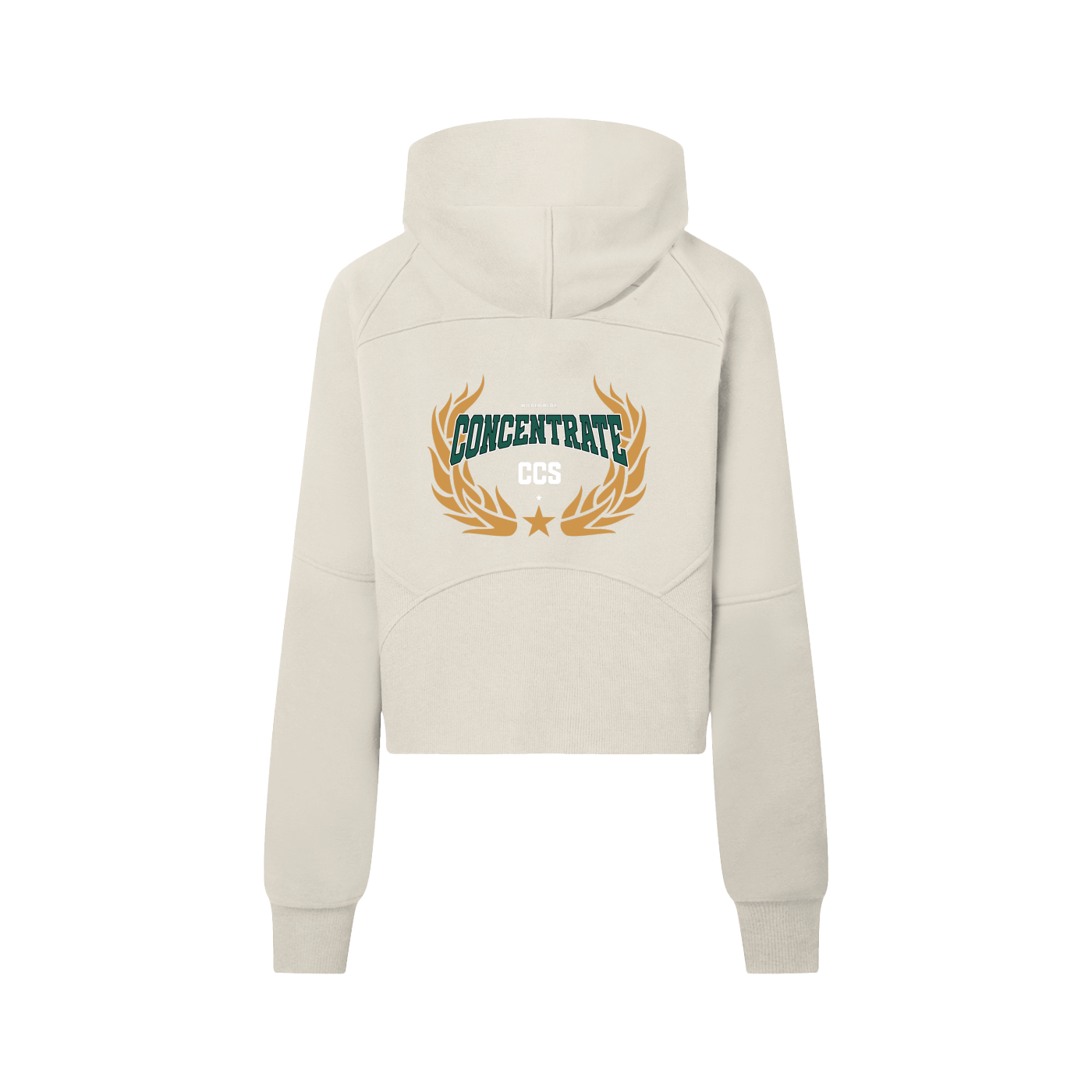 Concentrate Streetwear - Drop Out - 320gsm Cropped Half-Zip Hoodie