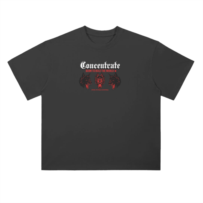 Concentrate Streetwear - Pack - 250gsm Oversized Drop Shoulder Tee