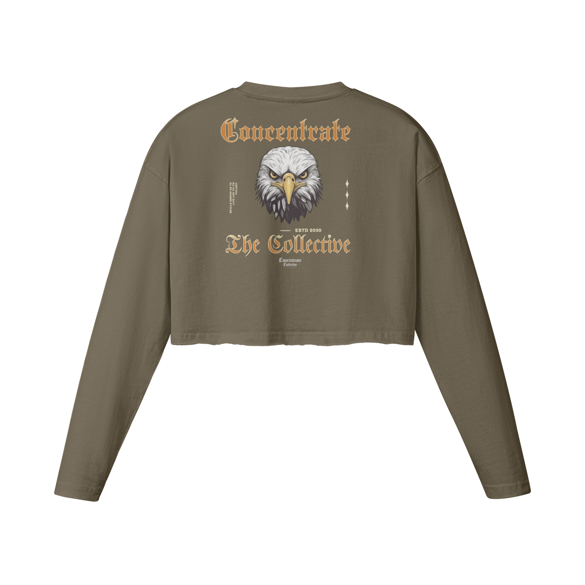 Concentrate Streetwear - Eagle - Ladies Crop Top