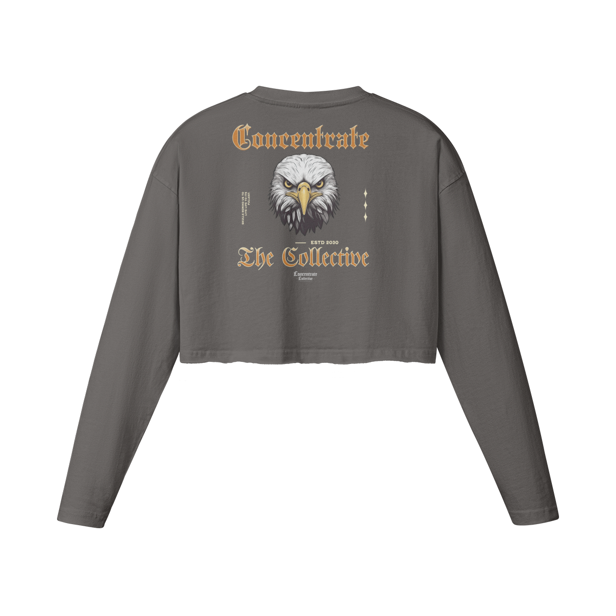 Concentrate Streetwear - Eagle - Ladies Crop Top