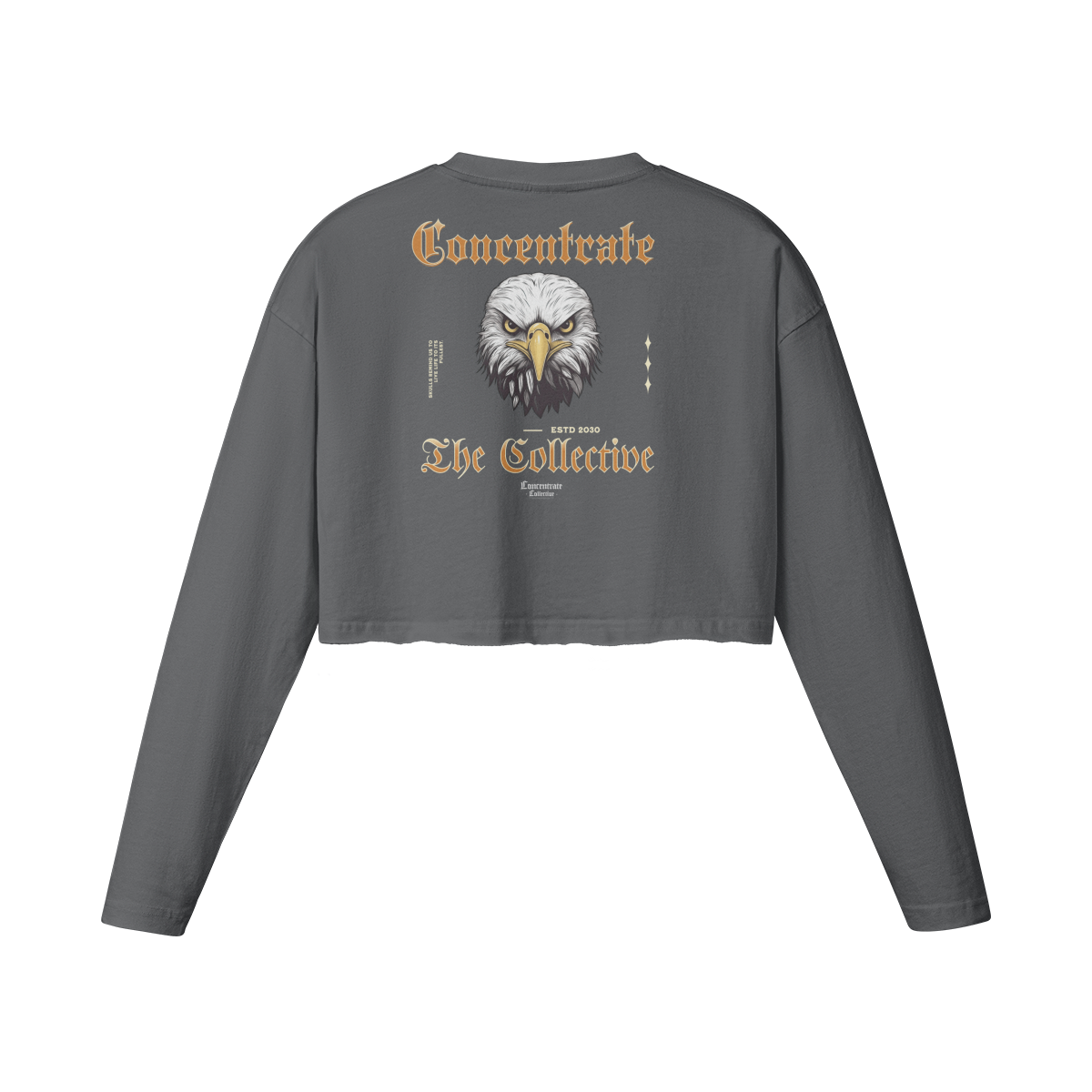 Concentrate Streetwear - Eagle - Ladies Crop Top