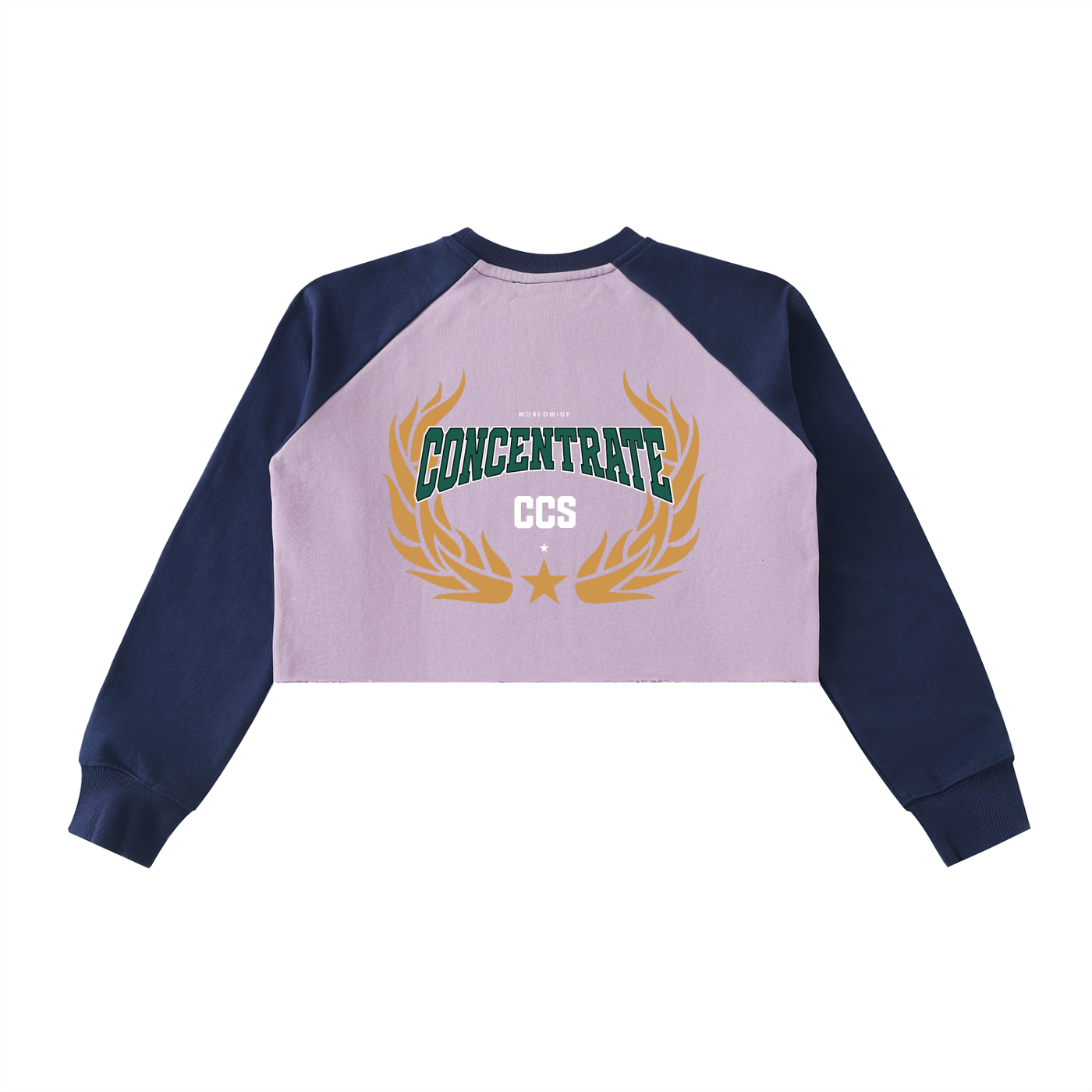Concentrate Streetwear - Drop out - 420gsm Raw-Hem Color-Block Raglan Crop Sweatshirt