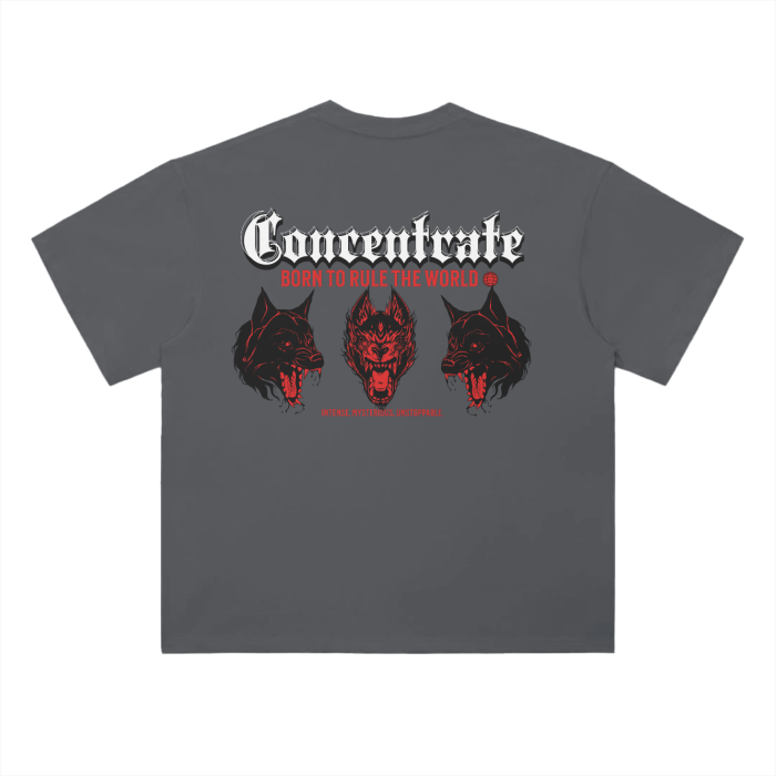 Concentrate - Pack - Oversized Drop Shoulder 250gsm - Tee - Set