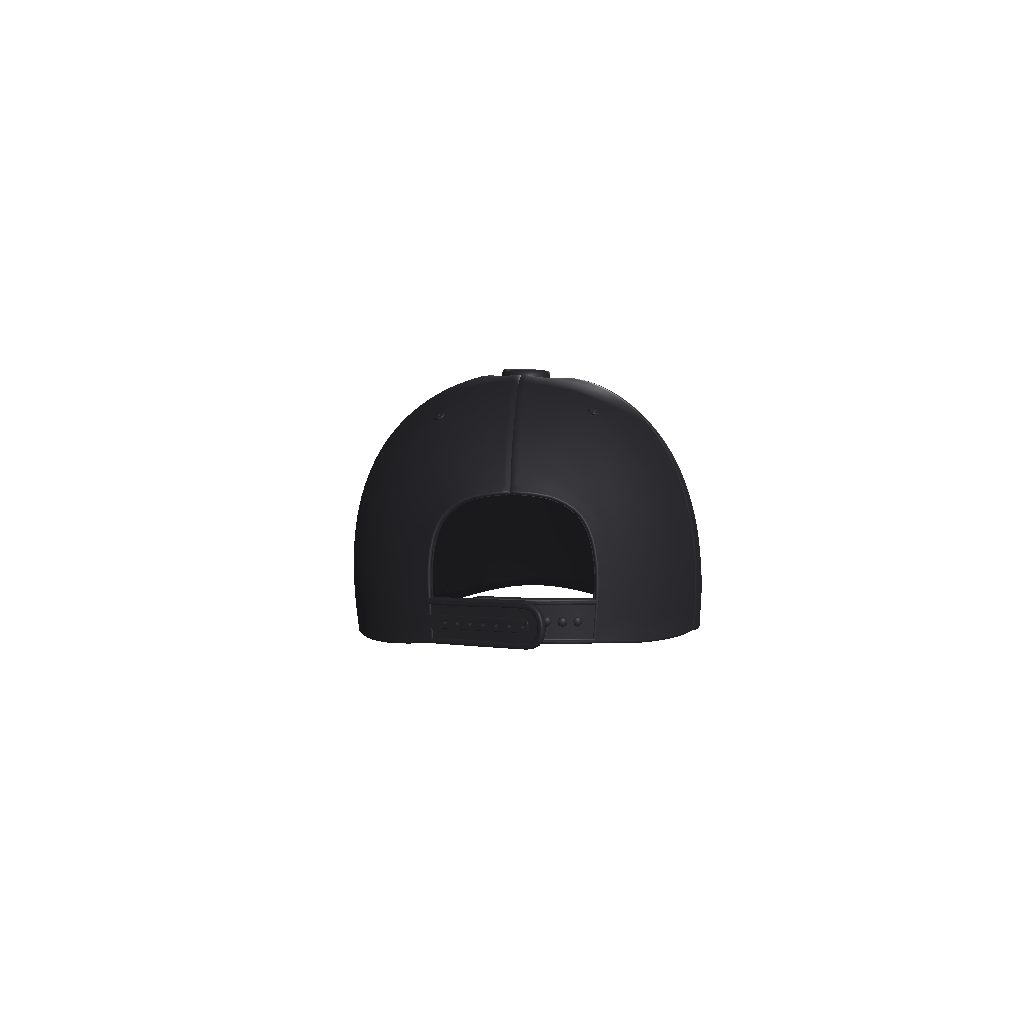 Concentrate - Snapback Cap