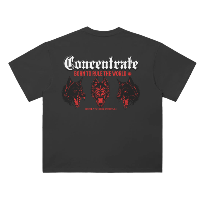 Concentrate - Pack - Oversized Drop Shoulder 250gsm - Tee - Set