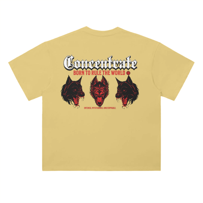 Concentrate - Pack - Oversized Drop Shoulder 250gsm - Tee - Set