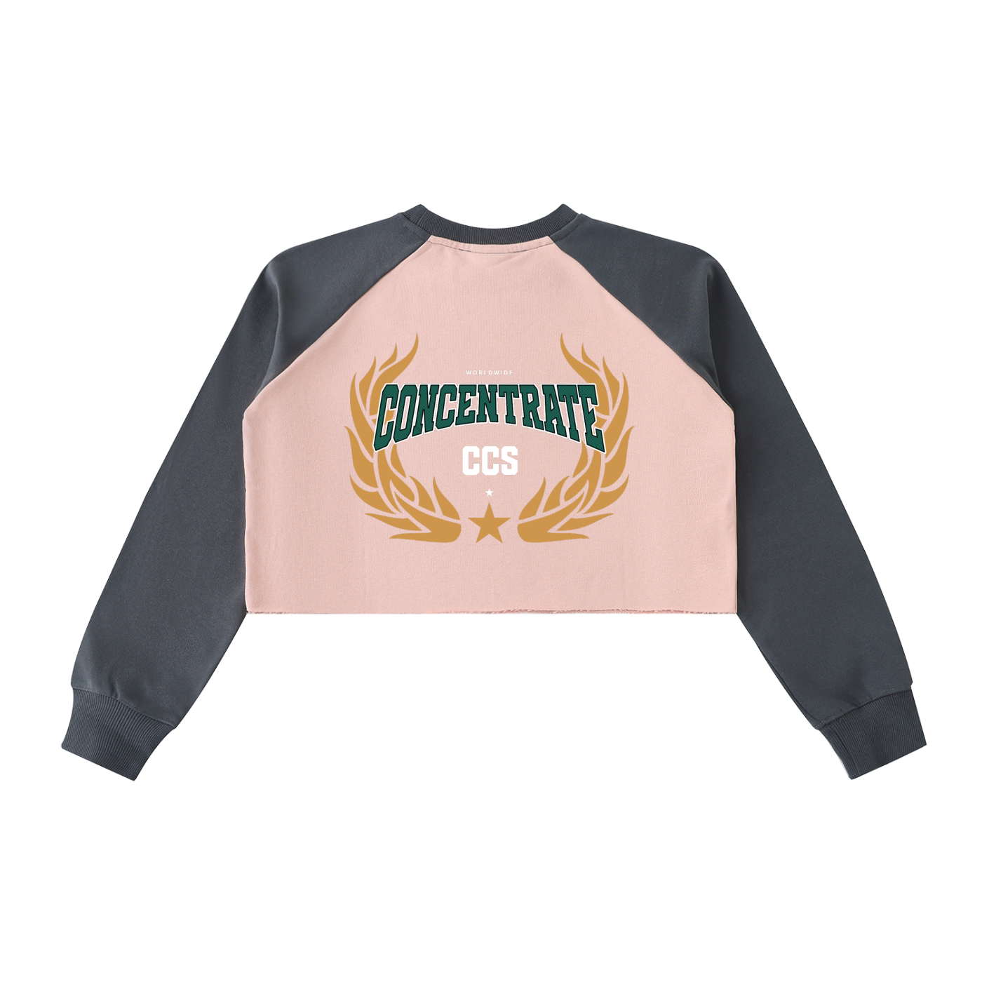 Concentrate Streetwear - Drop out - 420gsm Raw-Hem Color-Block Raglan Crop Sweatshirt
