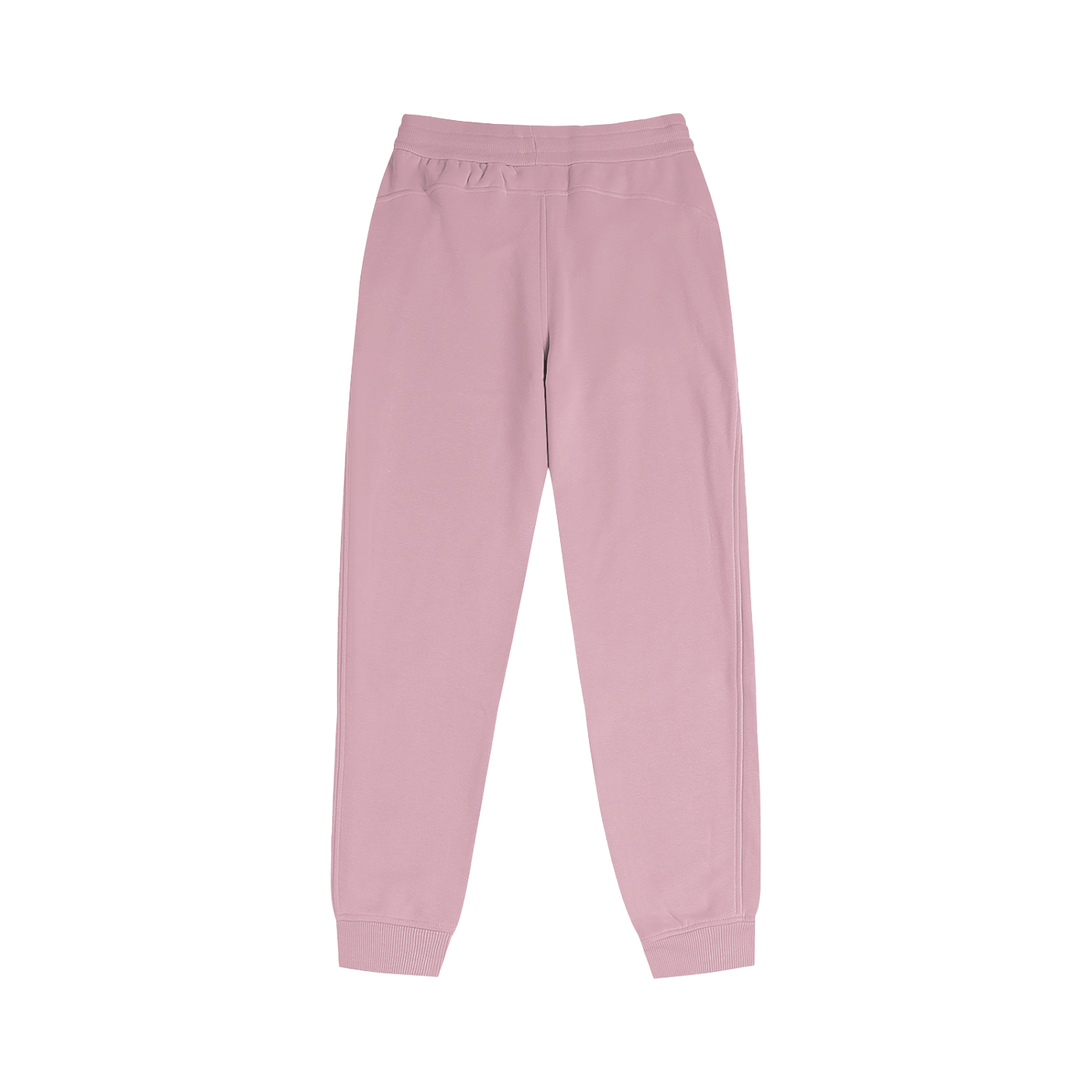 Concentrate Streetwear - Drop Out - 320gsm Female Jogger Pants/ Trackies