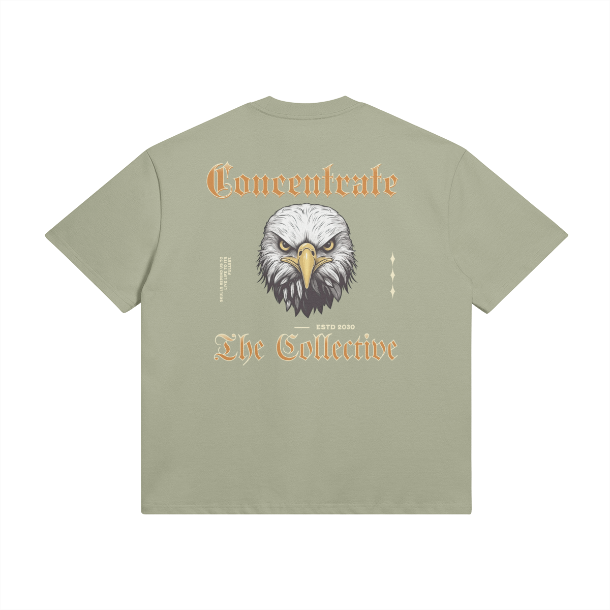 Concentrate - Eagle -425gsm Oversized Thick Tee - Set