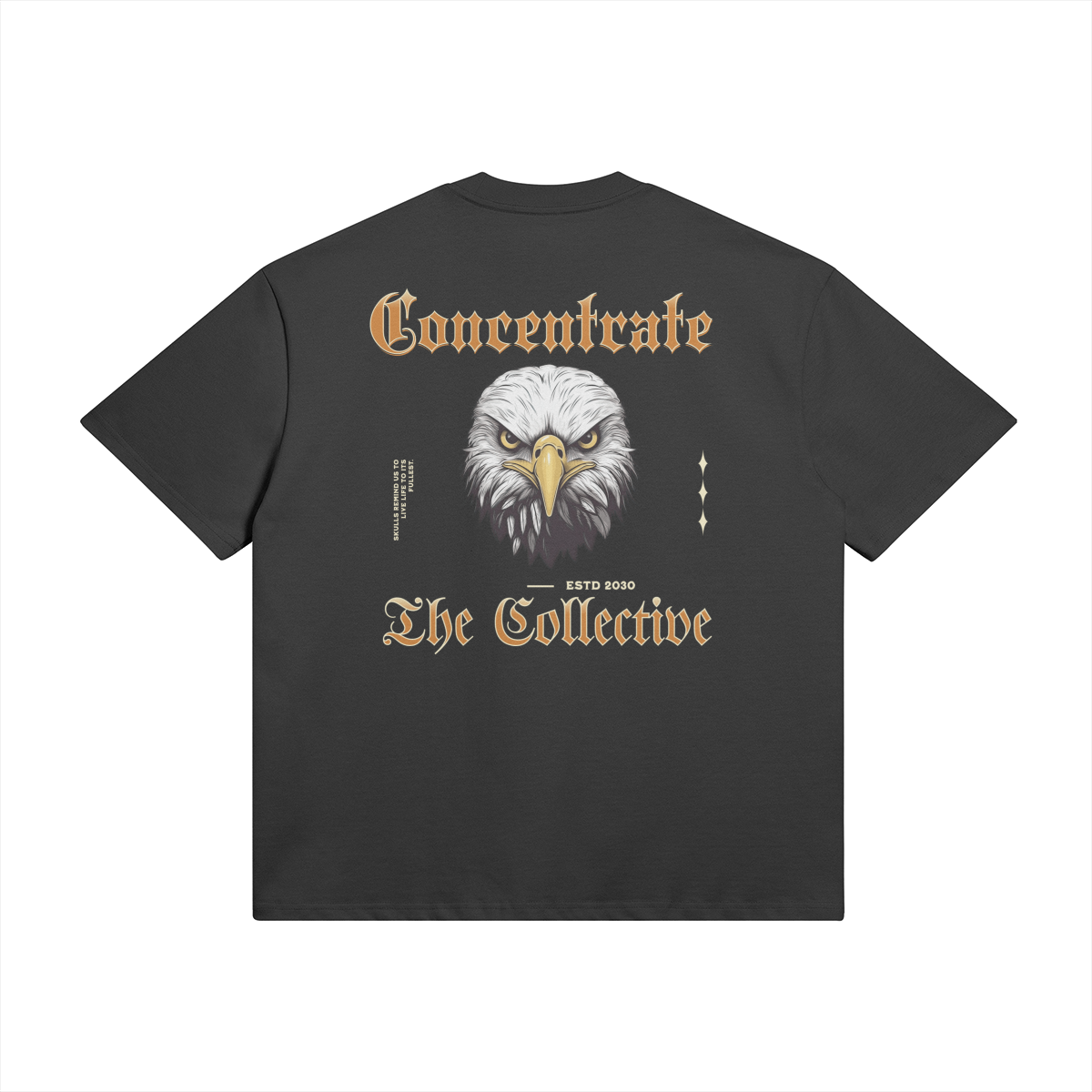 Concentrate - Eagle -425gsm Oversized Thick Tee - Set