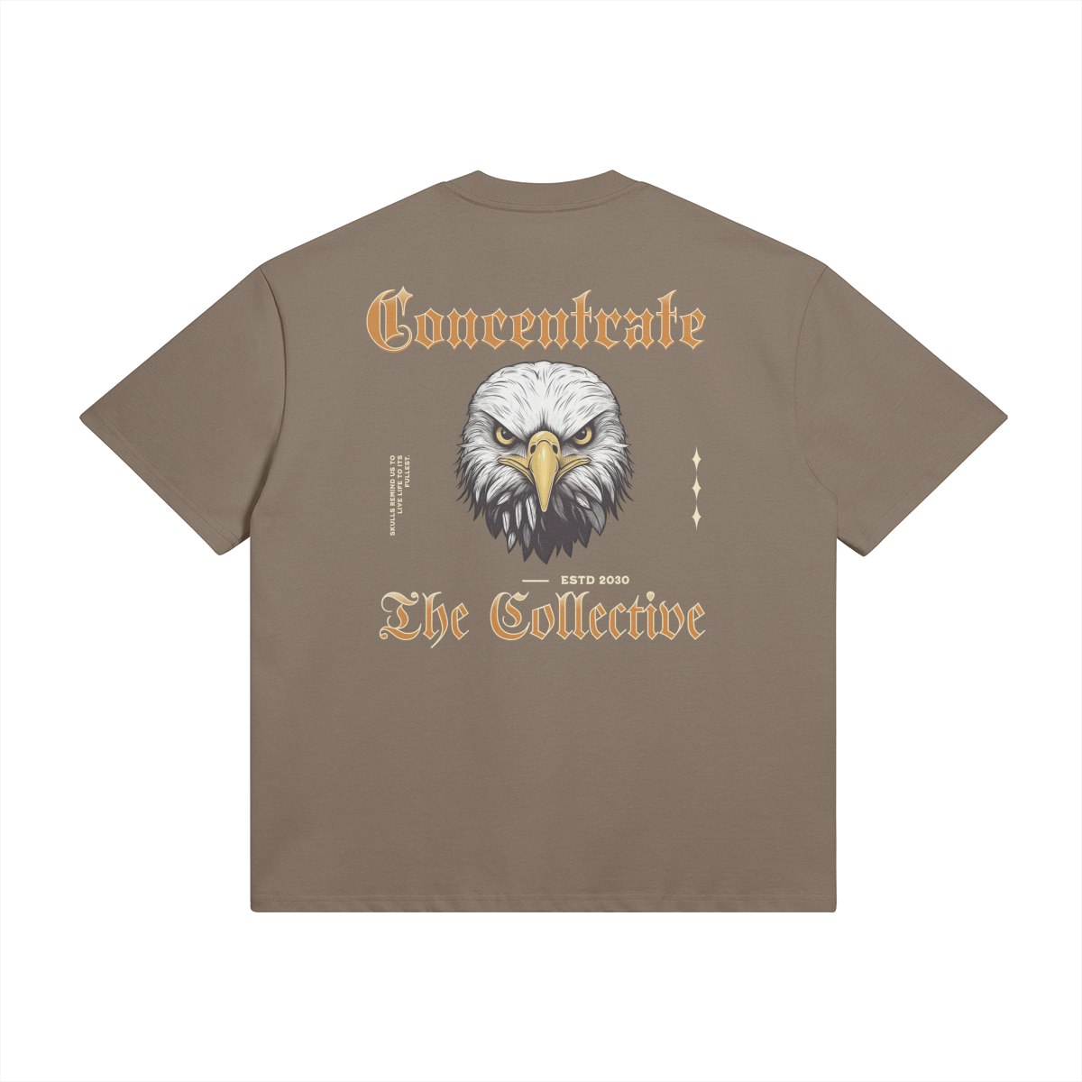 Concentrate - Eagle -425gsm Oversized Thick Tee - Set