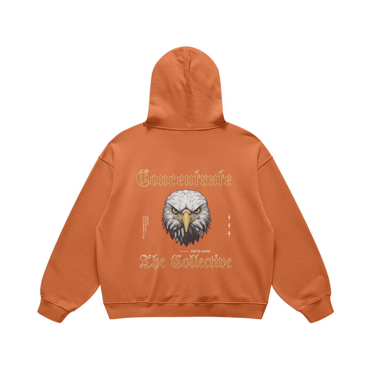 Concentrate - Eagle - 440gsm Loose Hoodie/Jumper/Tracksuit - Set